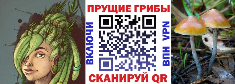 MEGA ССЫЛКА закладки Вилюйск Галлюциногенные грибы Psilocybe